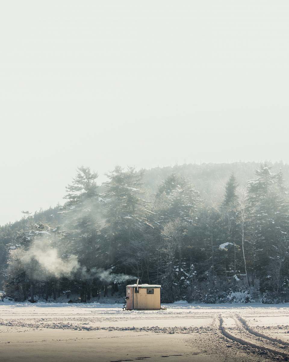 grey white shed surrounded by trees echo lake